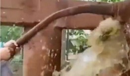 灌肠视频曝光,揭秘肠道清洁的真相与误区