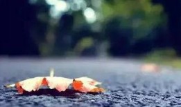 人死后经过的地方视频