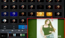 动态视频制作,动态视频制作艺术之旅