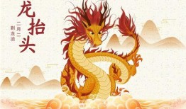 二月二龙抬头搞笑视频,笑料横生欢乐多！