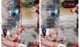 火山小视频发什么视频火力多,火力全开，热门视频生成攻略揭秘