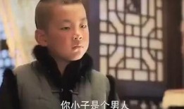 妈了个巴子视频,网络爆笑视频背后的故事与影响