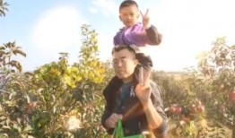 摘苹果的视频,跟随视频体验摘苹果的乐趣