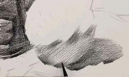 素描粽子视频教程,从零基础到精美作品