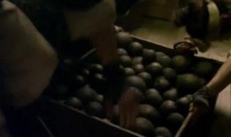 破衣门视频完整版磁力,揭秘事件背后惊人真相