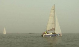 生态中国沿海行视频,探寻蓝色家园的绿色足迹