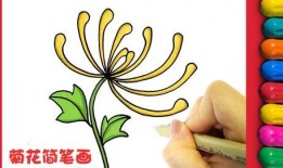 菊花怎么画视频,跟随视频教程，轻松绘制秋日菊花