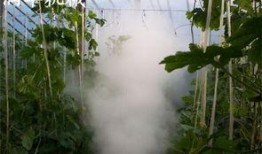 弥雾机配药视频,高效农药喷洒技术解析