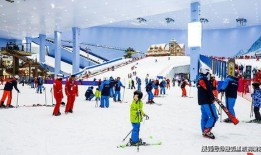 东北最牛卖刀人视频,刀锋上的传奇人生