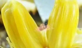 菠萝蜜剥的视频,轻松剥出美味果肉