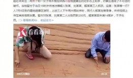 踩踏视频免费视频,揭秘现场惊险瞬间