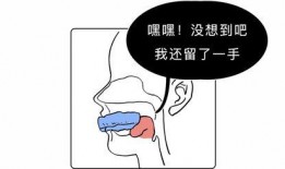 堵嘴捆绑视频,从堵嘴视频看人体束缚之美