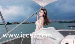 在线伊人视频,揭秘虚拟世界的魅力与挑战