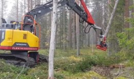 德国伐木机视频,科技与力量的完美结合