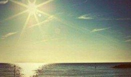 希望的风帆视频,希望的风帆视频深度解析