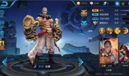 达摩视频,揭秘古老智慧与现代生活的完美融合