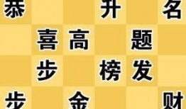 2017成语大赛视频,2017成语大赛精彩瞬间回顾