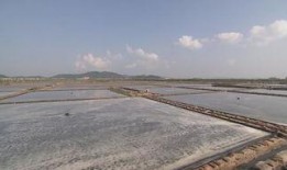 生态中国沿海行视频,探寻蓝色家园的绿色足迹