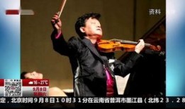 小提琴大师演奏视频,小提琴大师演绎经典之作