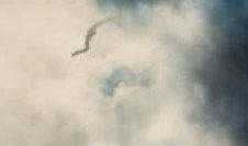 天空出现龙真实视频,首次捕捉到真实龙形云彩视频