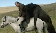 人跟马视频,人马共舞的精彩瞬间