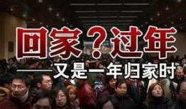 过年回家视频,回家过年温馨瞬间回顾