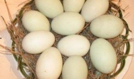 蛋仔的做法视频教程,轻松掌握美味蛋仔制作技巧