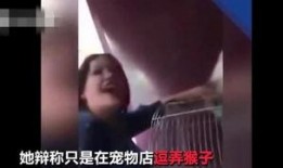 生殖器视频,视频中的生命奥秘解读