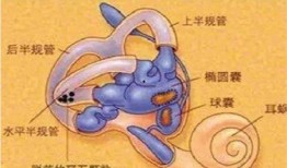 耳石症眩晕怎么办最快最有效视频,视频教程详解