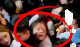 踩踏视频免费专区,揭秘网络监管漏洞