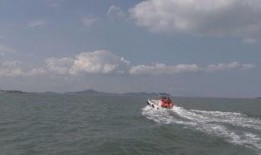 生态中国沿海行视频,探寻蓝色家园的绿色足迹