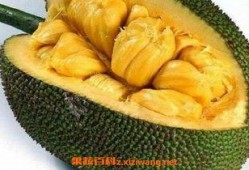 菠萝蜜剥的视频,轻松剥出美味果肉