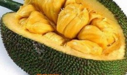 菠萝蜜剥的视频,轻松剥出美味果肉