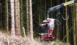 德国伐木机视频,科技与力量的完美结合