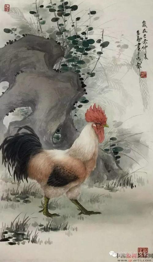 国画公鸡的画法教学视频,从笔触到构图，一招一式学到位